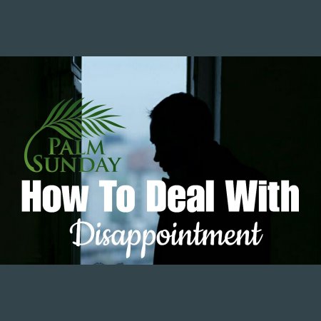 Palm Sunday: How To Deal With Disappointment