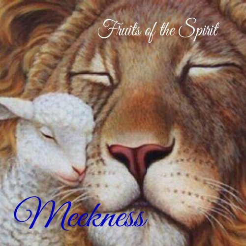 Meekness - Fruit of the Spirit Series