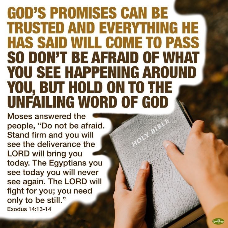 What God Has Said Will Come To Pass