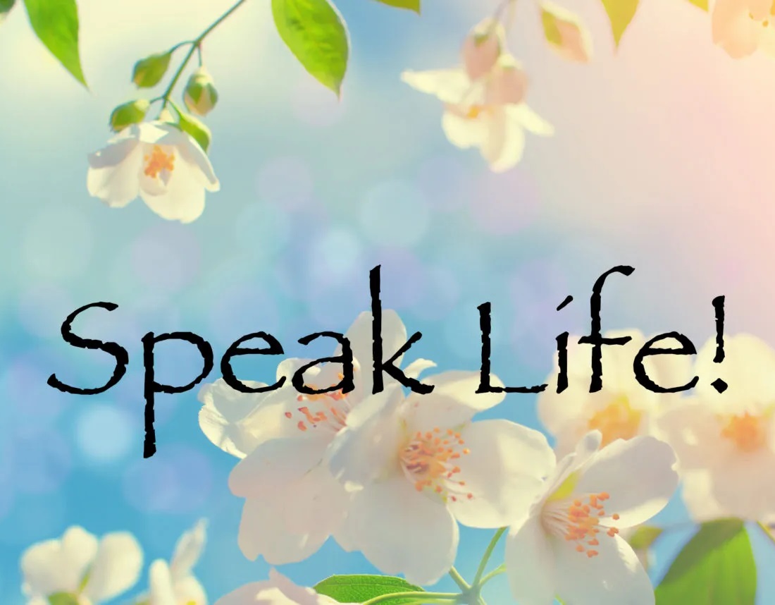 Speak Life